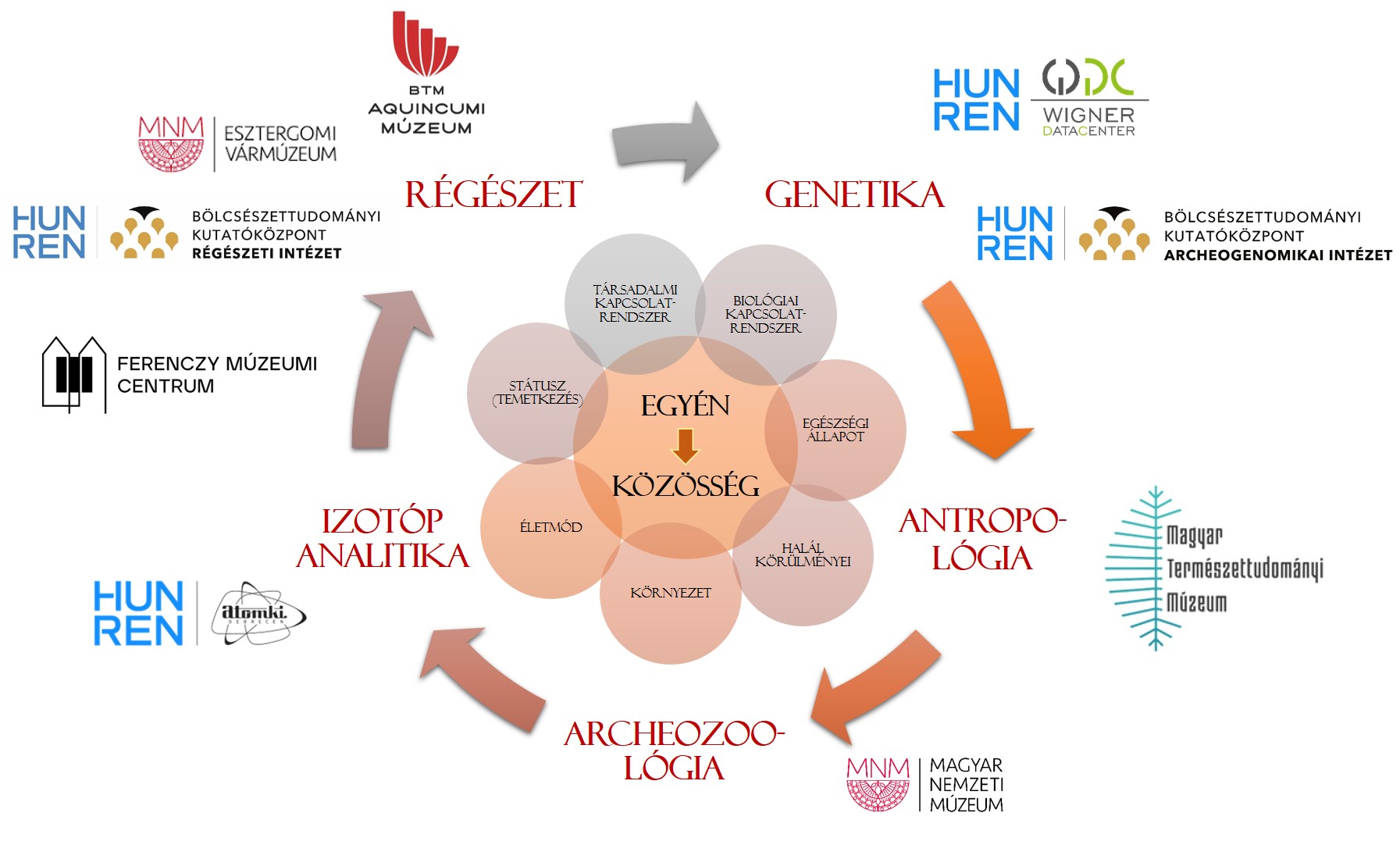 egyuttmukodesek es koncepcio